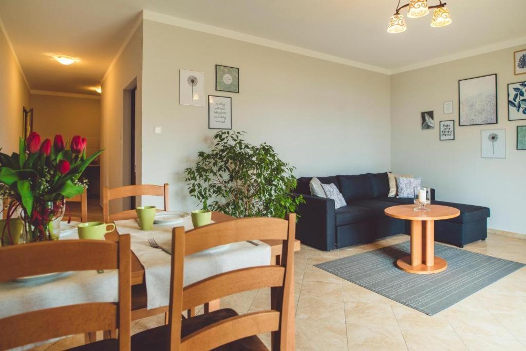 Paradise Apartment Charzykowy